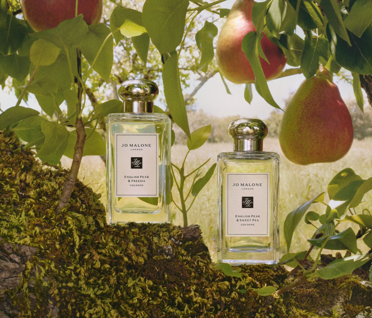 【Jo Malone London（ジョー マローン ロンドン）】「イングリッシュ ペアー」コレクションに日常に寄り添う新たなアイテムが登場！