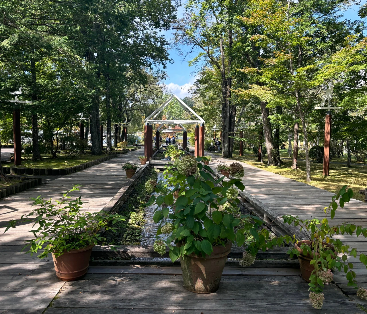 【軽井沢】自然の中で遊ぶ贅沢。軽井沢タリアセンでのんびりもアクティブにも。