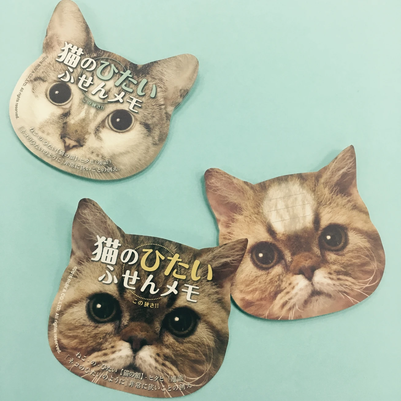 猫文具でデスクまわりも”にゃんバカ”仕様。