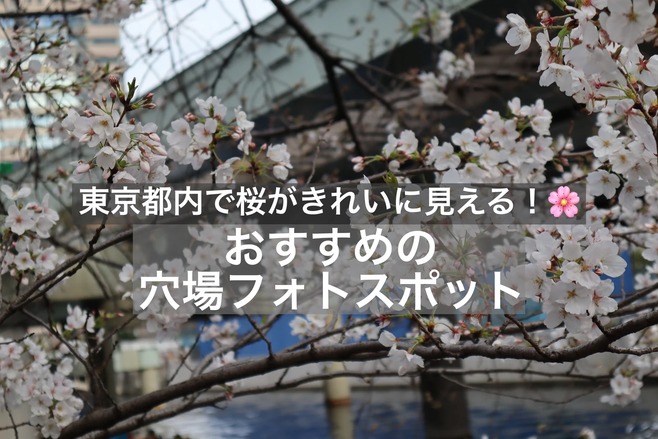 【2026年お花見】東京都内で桜がきれいに見えるおすすめの穴場スポット❤ #カメラ部