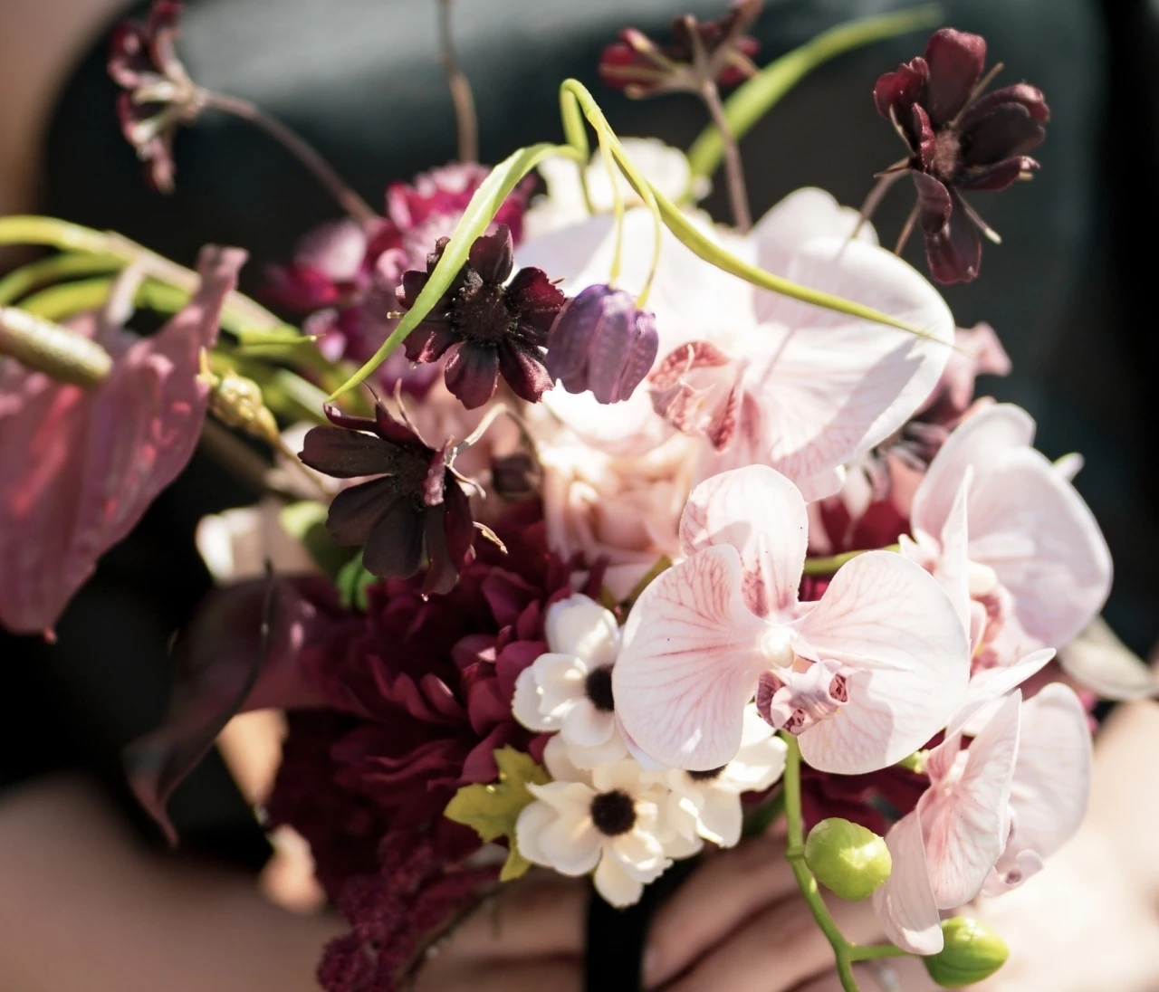 【自己紹介】はじめまして、西山千賀です！