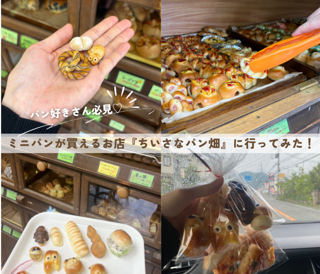 【兵庫・丹波篠山】一口サイズのパンが並ぶお店！「ちいさなパン畑」に行ってみた
