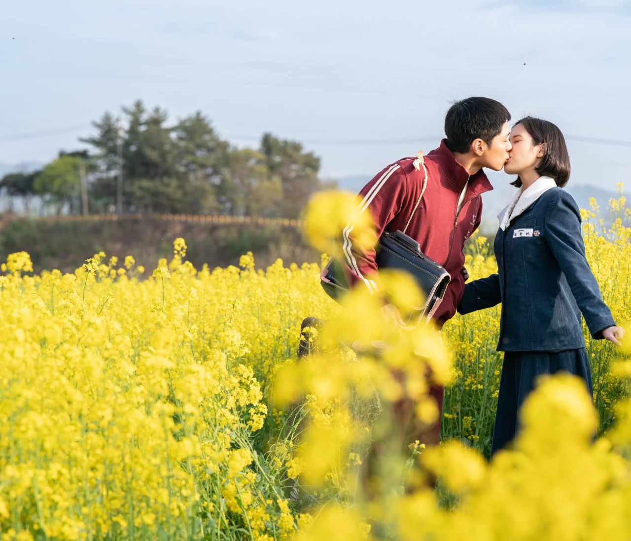最高に泣ける韓国ドラマ！切ない、感動。30代が選ぶ【Netflix配信の韓国ドラマ5選】
