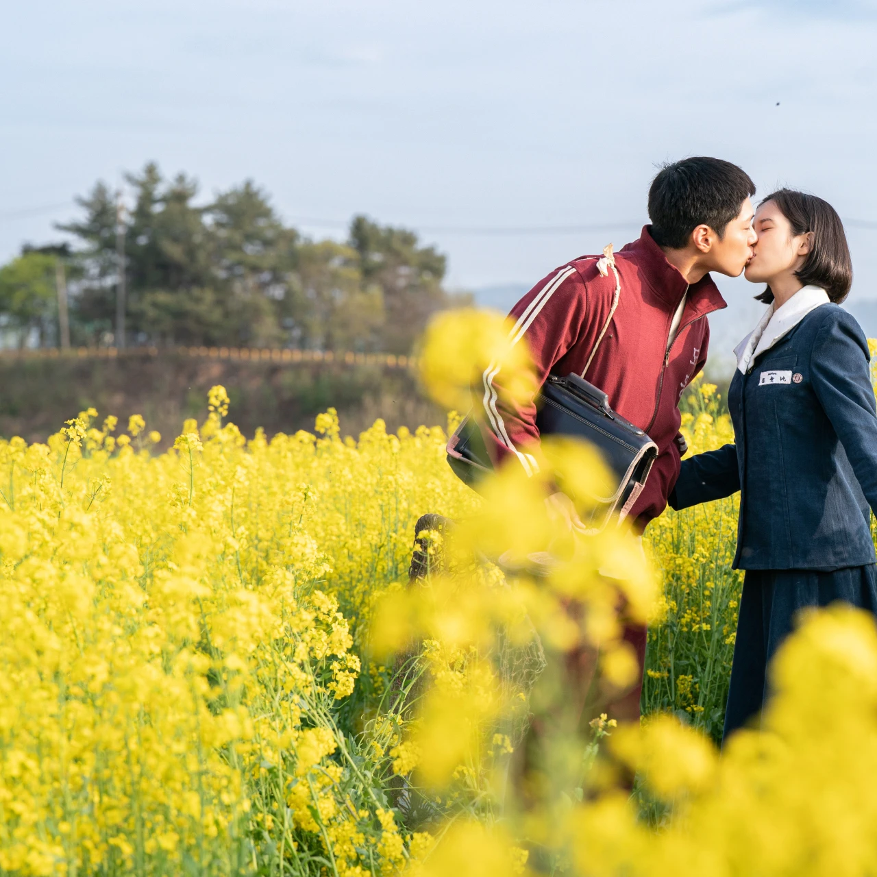最高に泣ける韓国ドラマ!切ない、感動。30代が選ぶ【Netflix配信の韓国ドラマ5選】