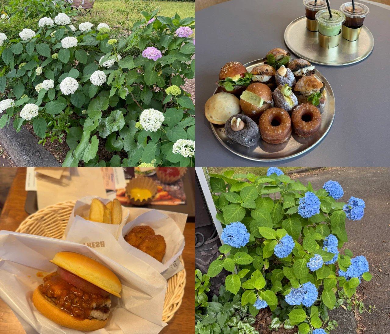 【駒沢公園】今だけ楽しめる紫陽花＆周辺のおすすめカフェ8選