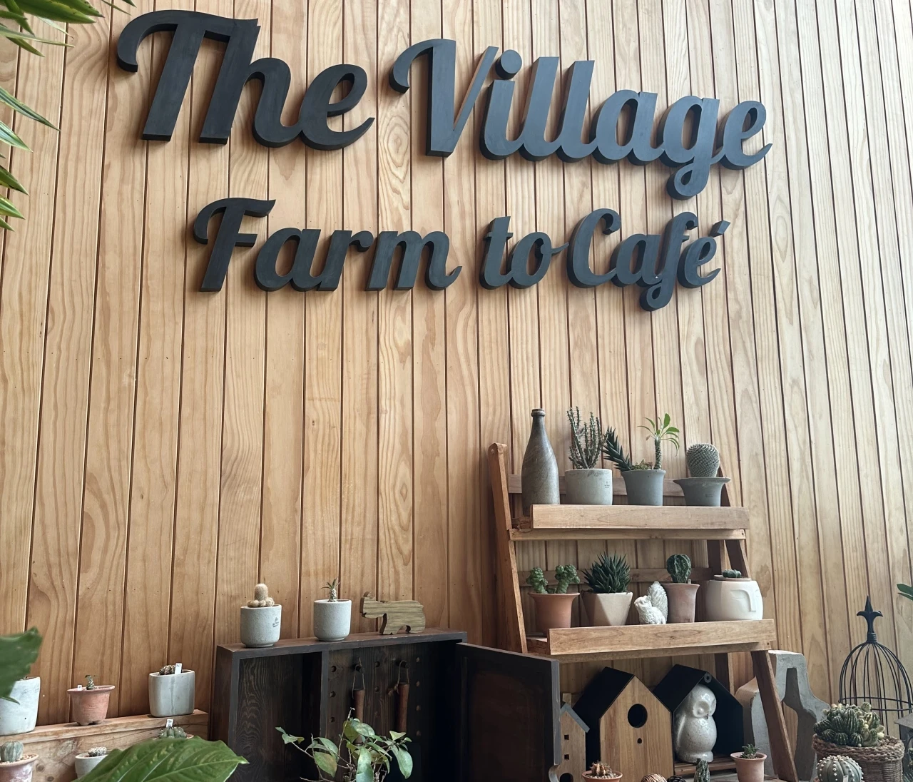 【カンチャナブリ観光】緑に囲まれた絶景カフェ「The Village Farm to Cafe」バンコク日帰りOK