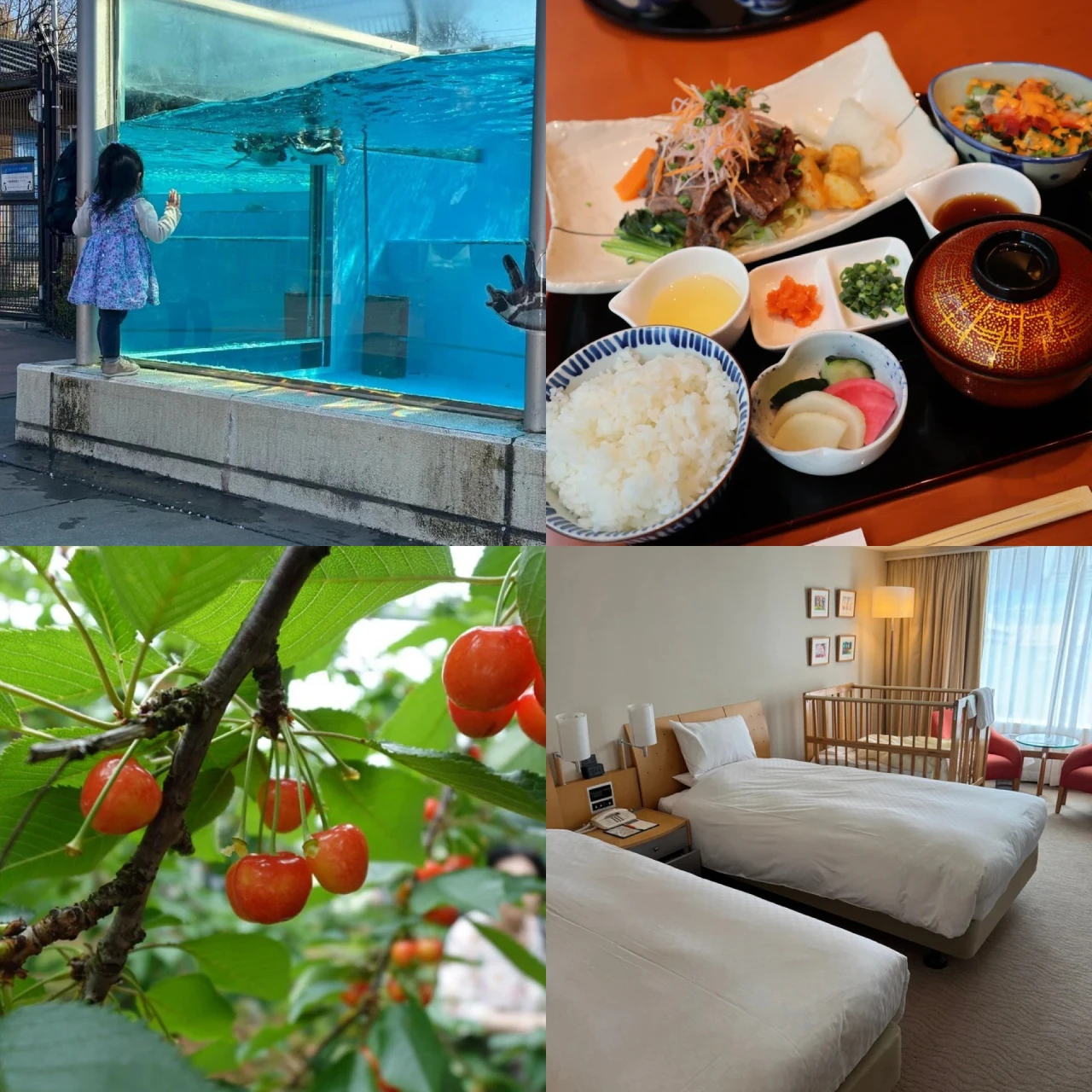 【子連れでお出かけスポットまとめ】レストラン、動物園、ホテルまでご紹介！