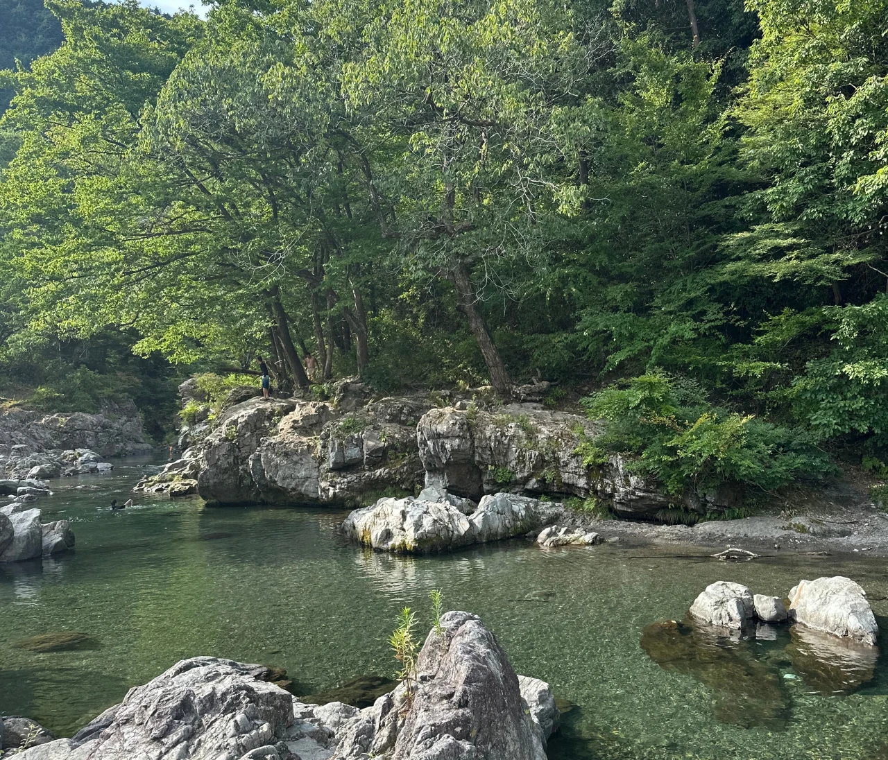 子連れで楽しむ！秋川渓谷の川遊び🏞️