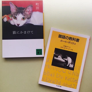 猫が好きだと叫びたい！読む＆見る、にゃんこワールド７選