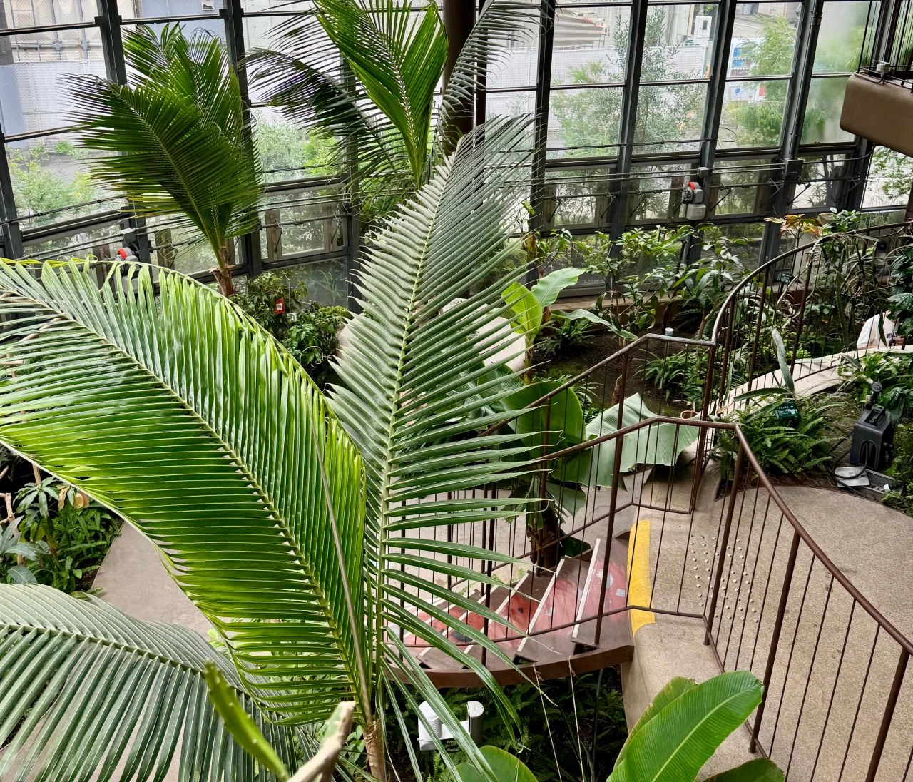 【渋谷駅から徒歩約10分の植物園】渋谷区ふれあい植物センターなら雨の日も楽しめる！