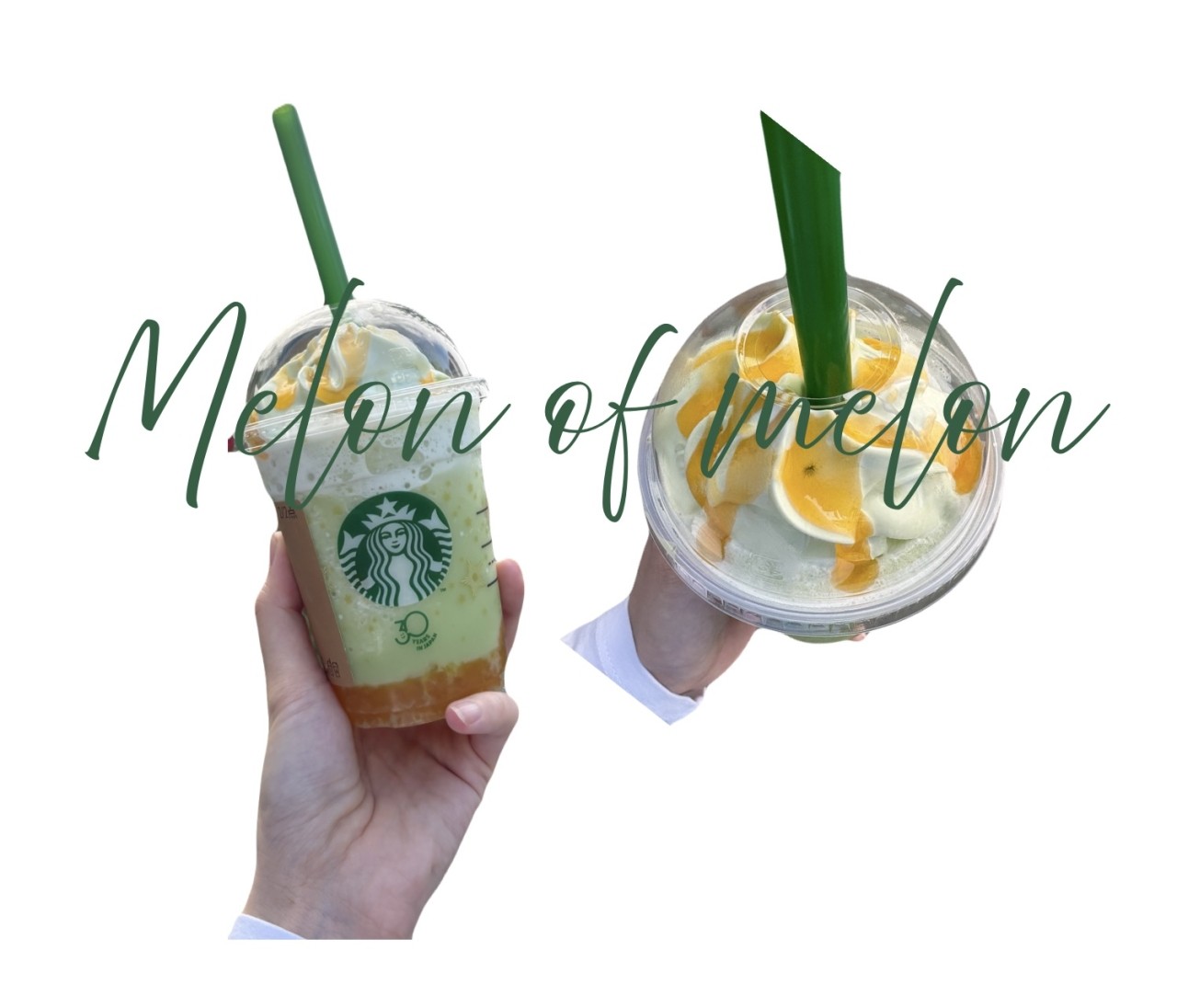 もう飲んだ？ スタバ30th復刻 THE フラペチーノ of メロン of メロン