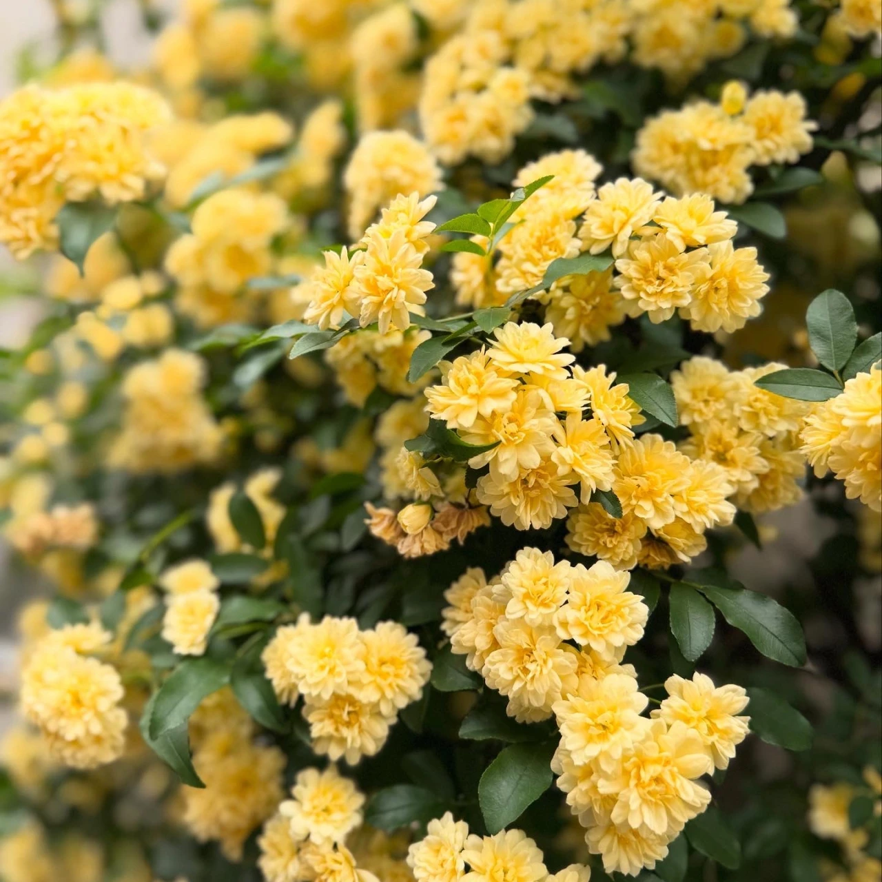 【30代】不妊治療を経験して感じたこと