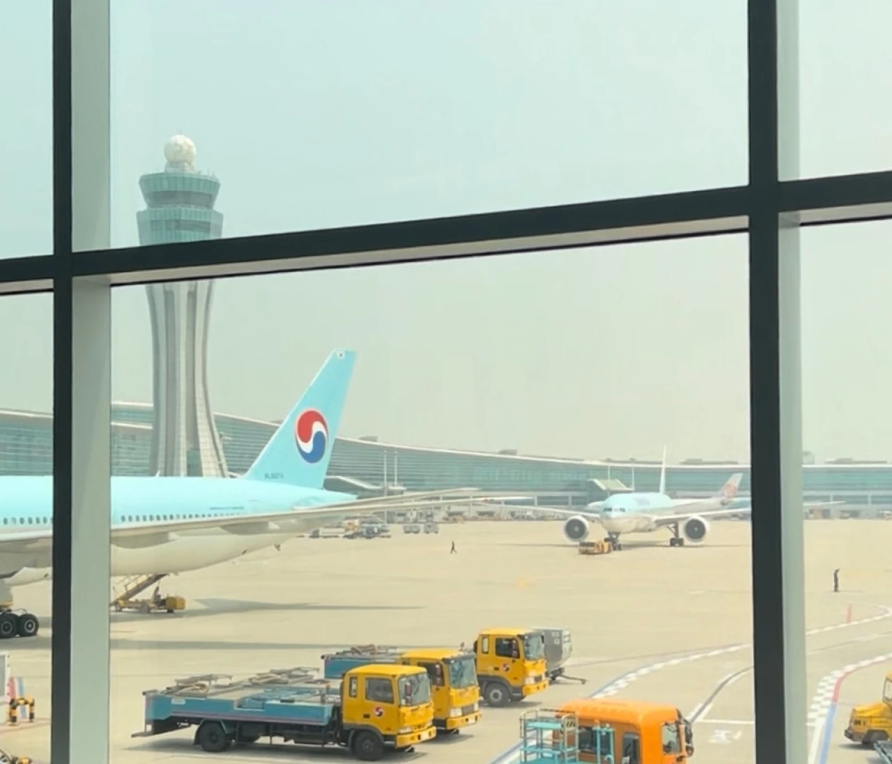 【韓国旅行】あると便利！オススメアプリ3選🇰🇷