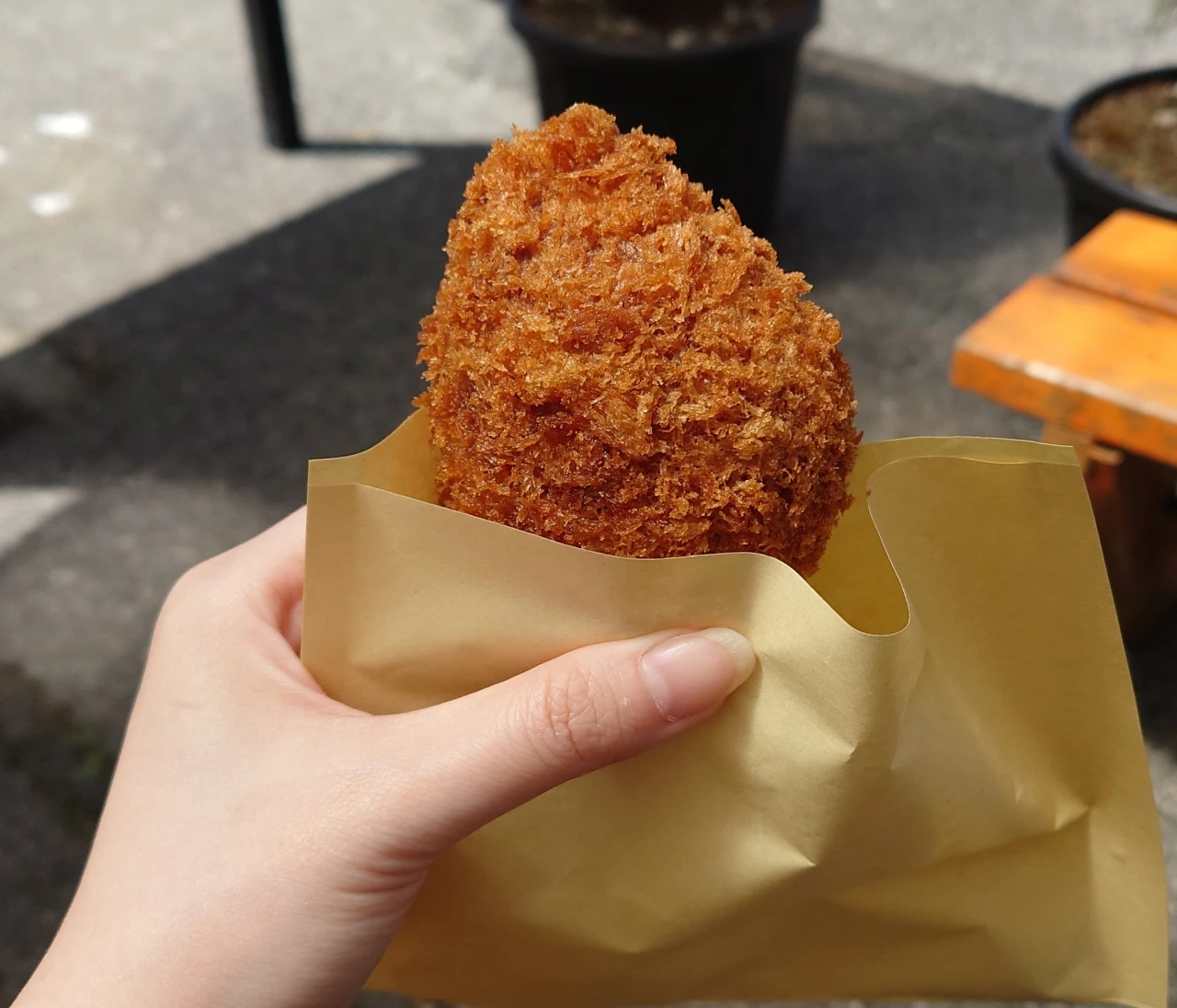 華厳の滝と、鬼怒川温泉まで足を伸ばした話。奥日光レポ②