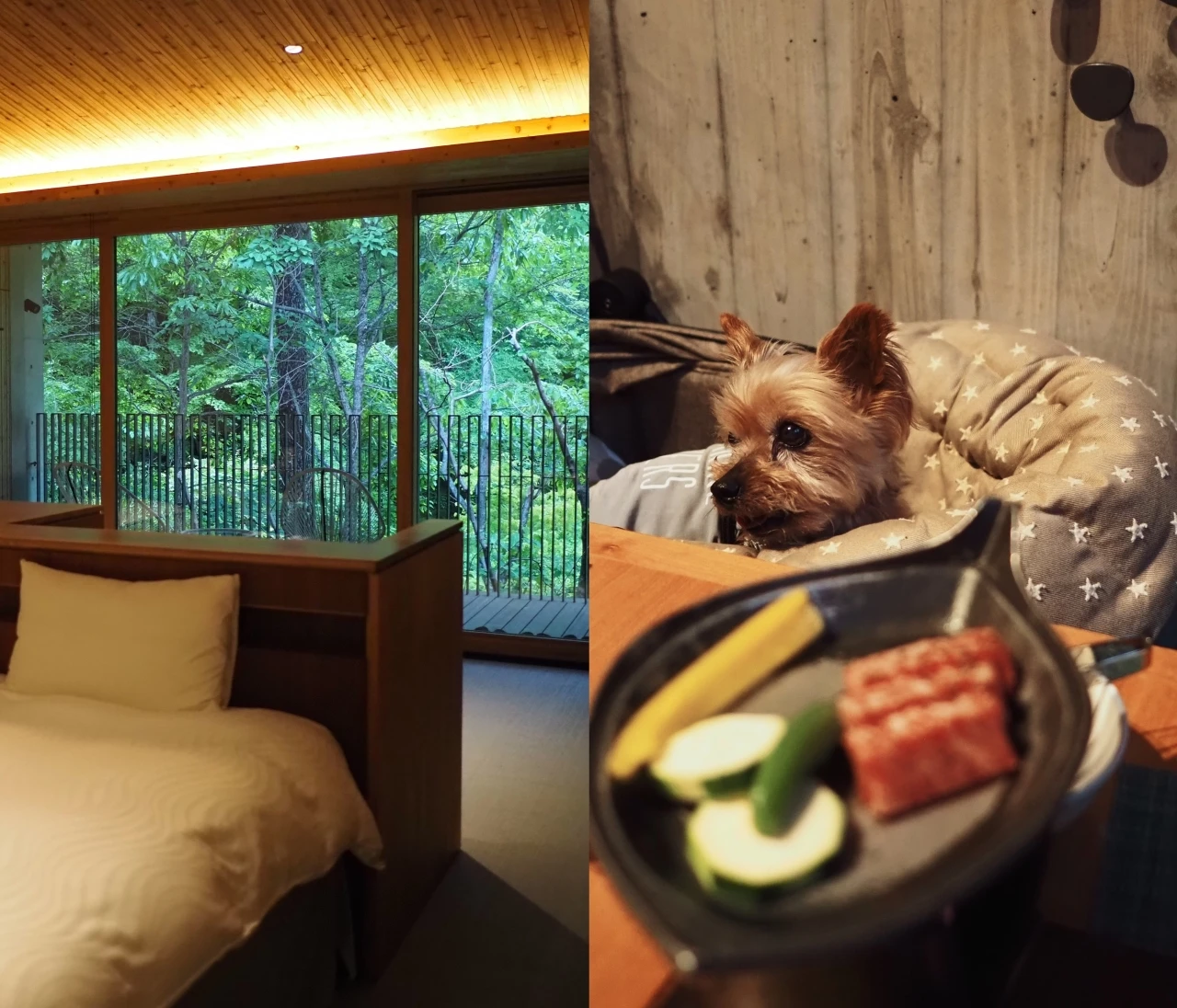 【宿泊記】レジーナリゾート旧軽井沢を徹底レビュー｜愛犬とずっと一緒に過ごせるホテル