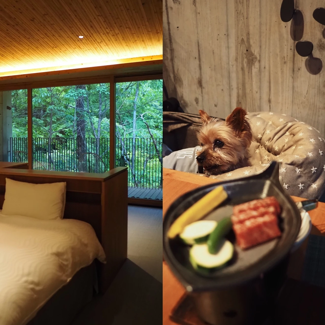 【宿泊記】レジーナリゾート旧軽井沢を徹底レビュー|愛犬とずっと一緒に過ごせるホテル
