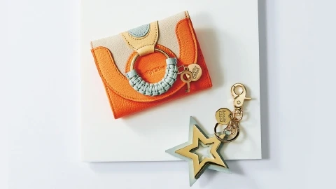 【SEE BY CHLOÉ】可愛く目立つデザインはバッグの中でもすぐ見つかる!スモールレザーグッズ⑪