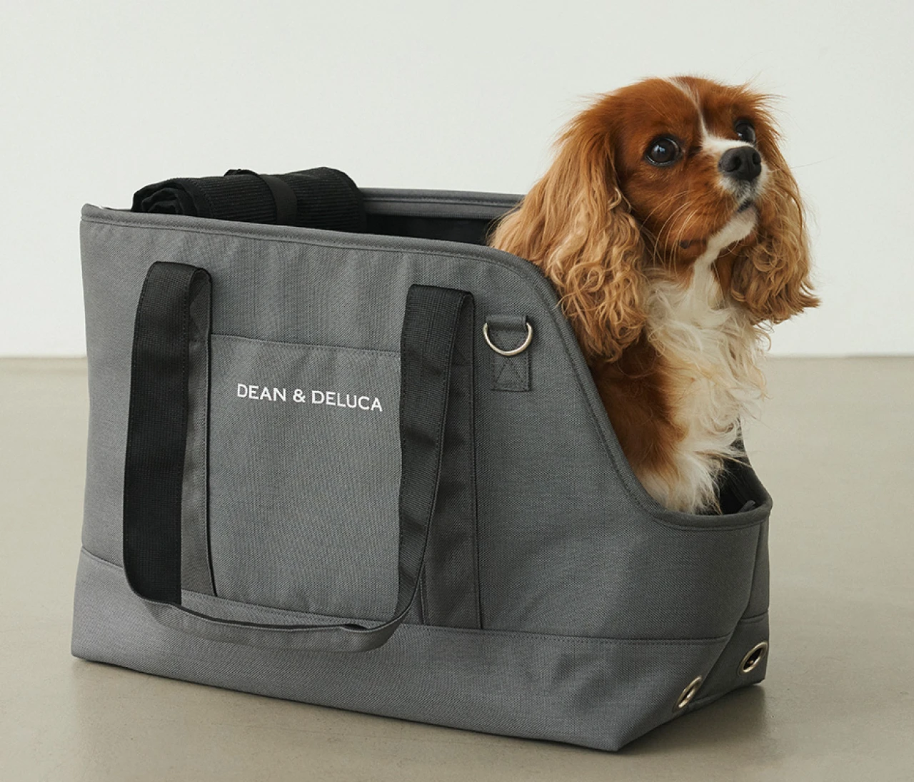 【DEAN & DELUCA（ディーン＆デルーカ）】愛犬との毎日を豊かに。オリジナルドッグアイテムコレクションが公式オンラインストア限定で登場！ 