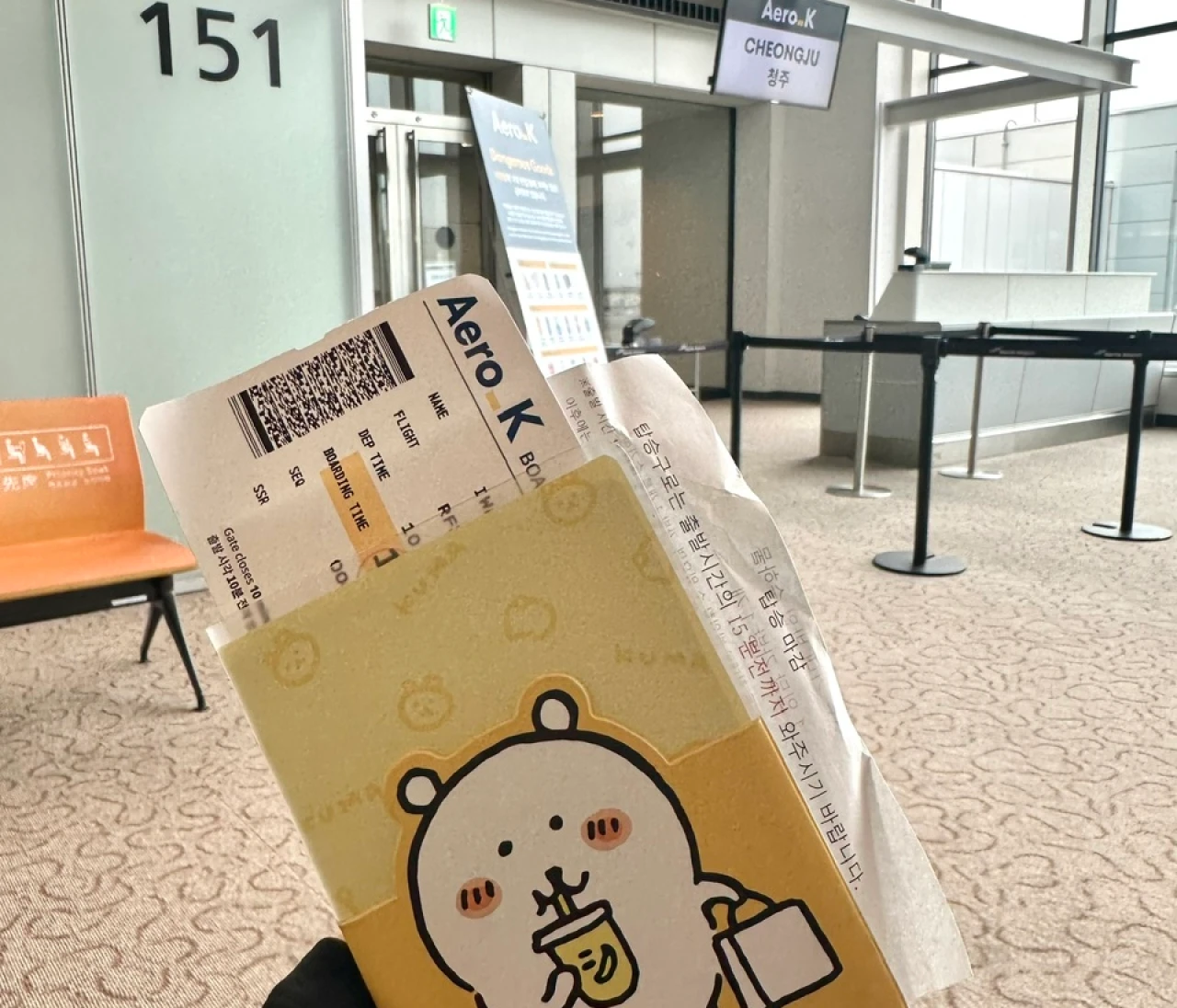 【韓国】清州空港からソウル？ラグバグはいる？6月の気になる！