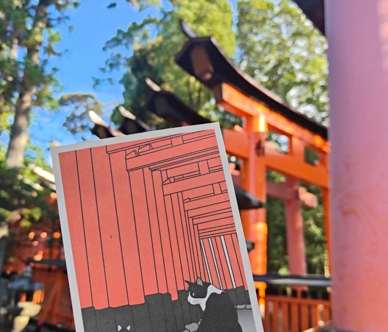 【京都伏見稲荷大社】可愛い看板猫とオリジナルポストカード