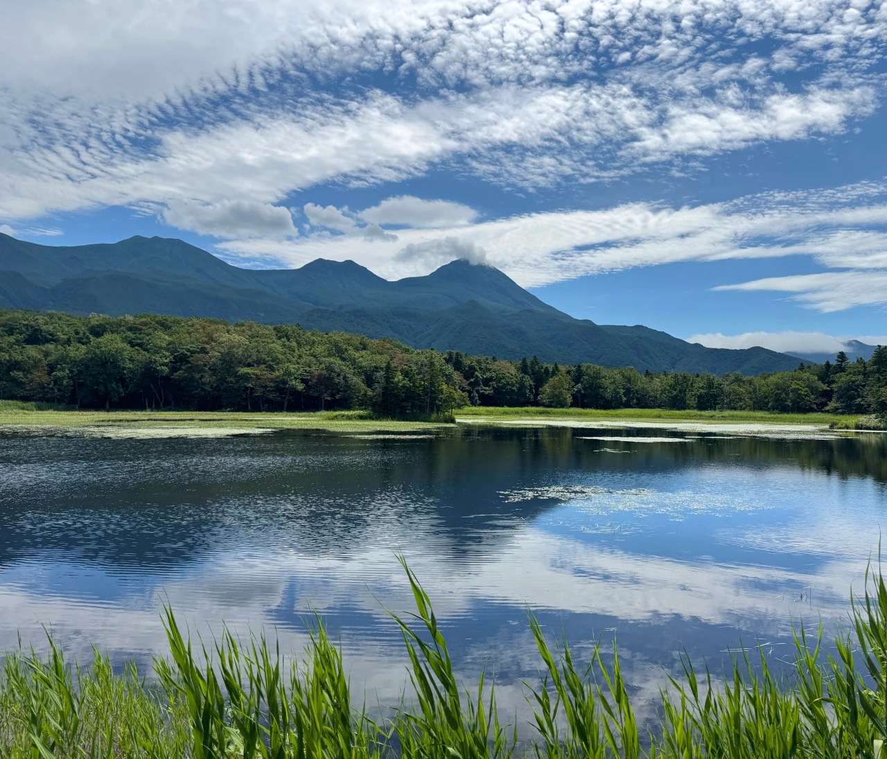 【北海道 道東エリア】網走・知床・弟子屈２泊３日絶景旅②知床半島＆野付半島編