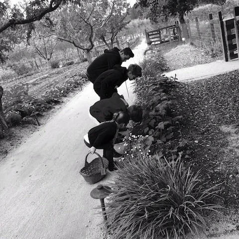 【ベッカムご一家】母の日に届いたメッセージ