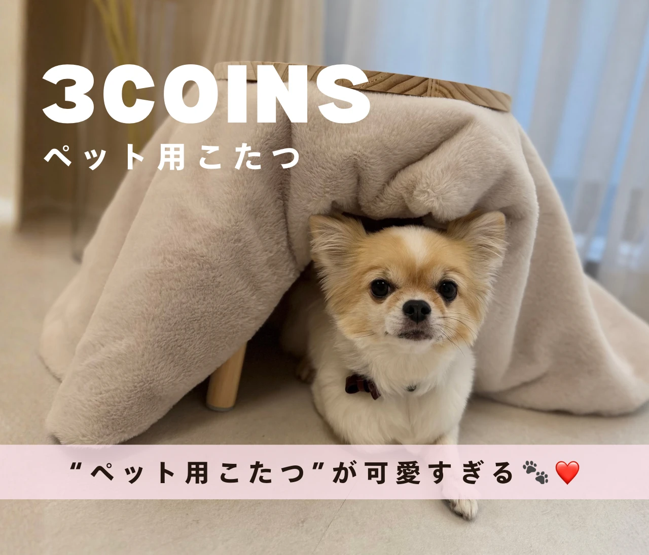 【3COINS】小型犬・猫ちゃんの寒さ対策に♡“ペット用こたつ”が可愛すぎる