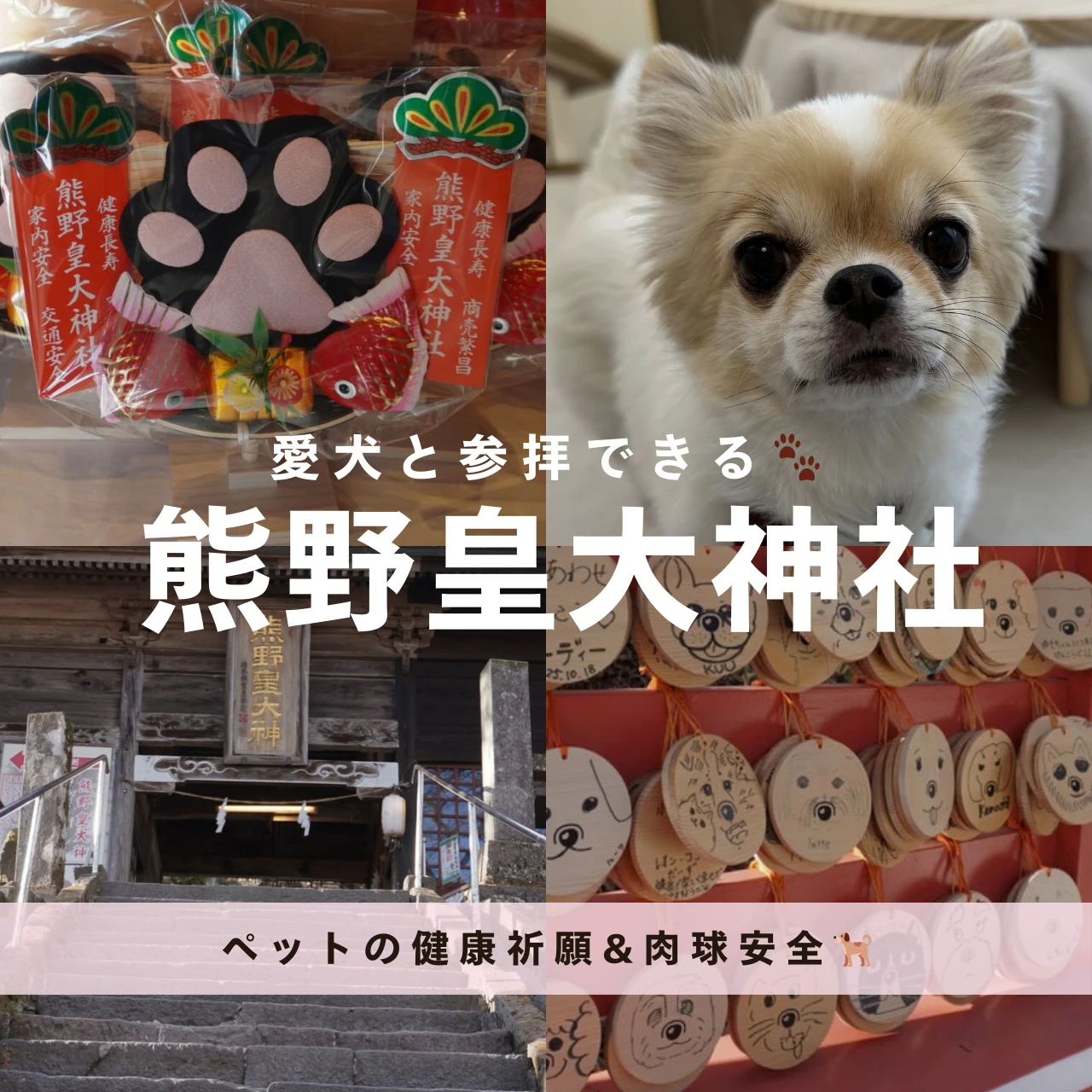 【長野・軽井沢パワースポット】愛犬と参拝できる熊野皇大神社|ペット健康祈願&限定御朱印