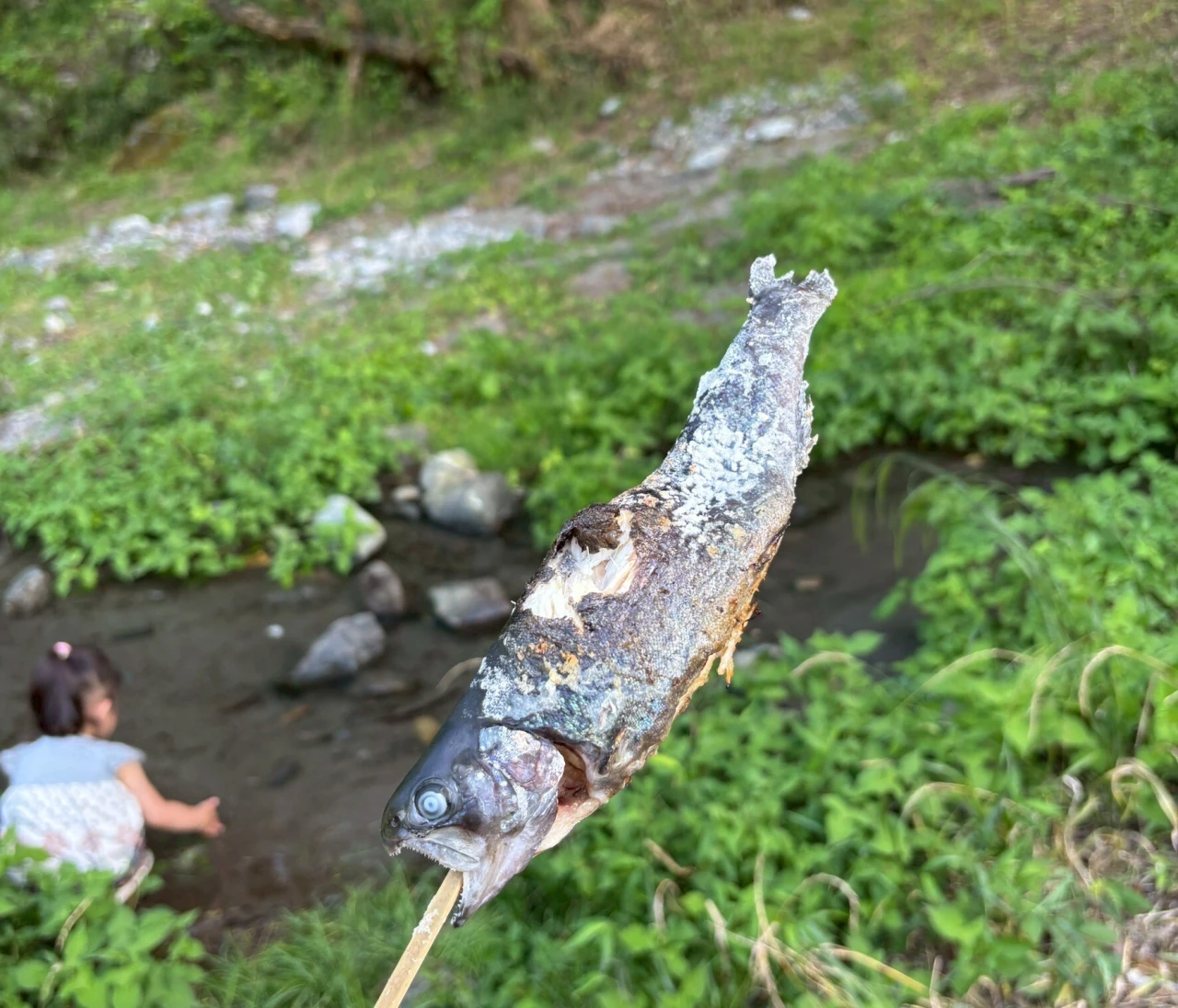 🌲0歳＆2歳と一緒に！自然たっぷり癒しの奥多摩日帰り旅行プラン【釣り・BBQ・美食・温泉】 #旅行部