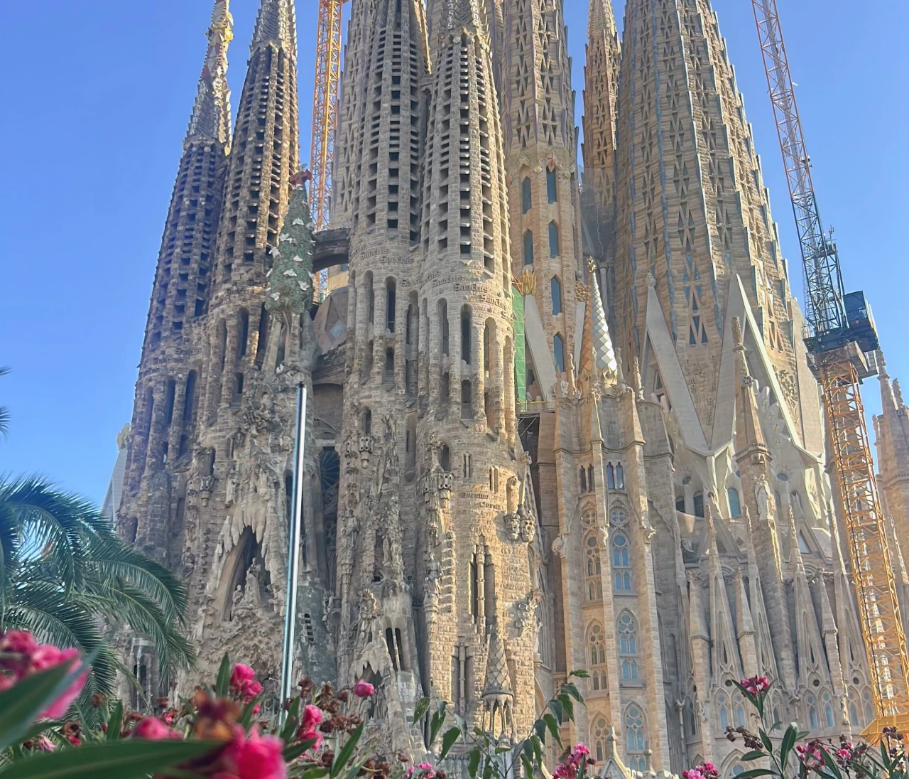 スペイン旅行の治安・スリ対策｜4都市を一人旅した30代の実体験