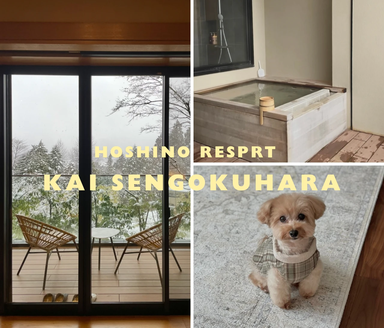 愛犬と泊まれる★子連れにもおすすめの宿② ~星野リゾート 界 仙石原 ＆彫刻の森美術館~