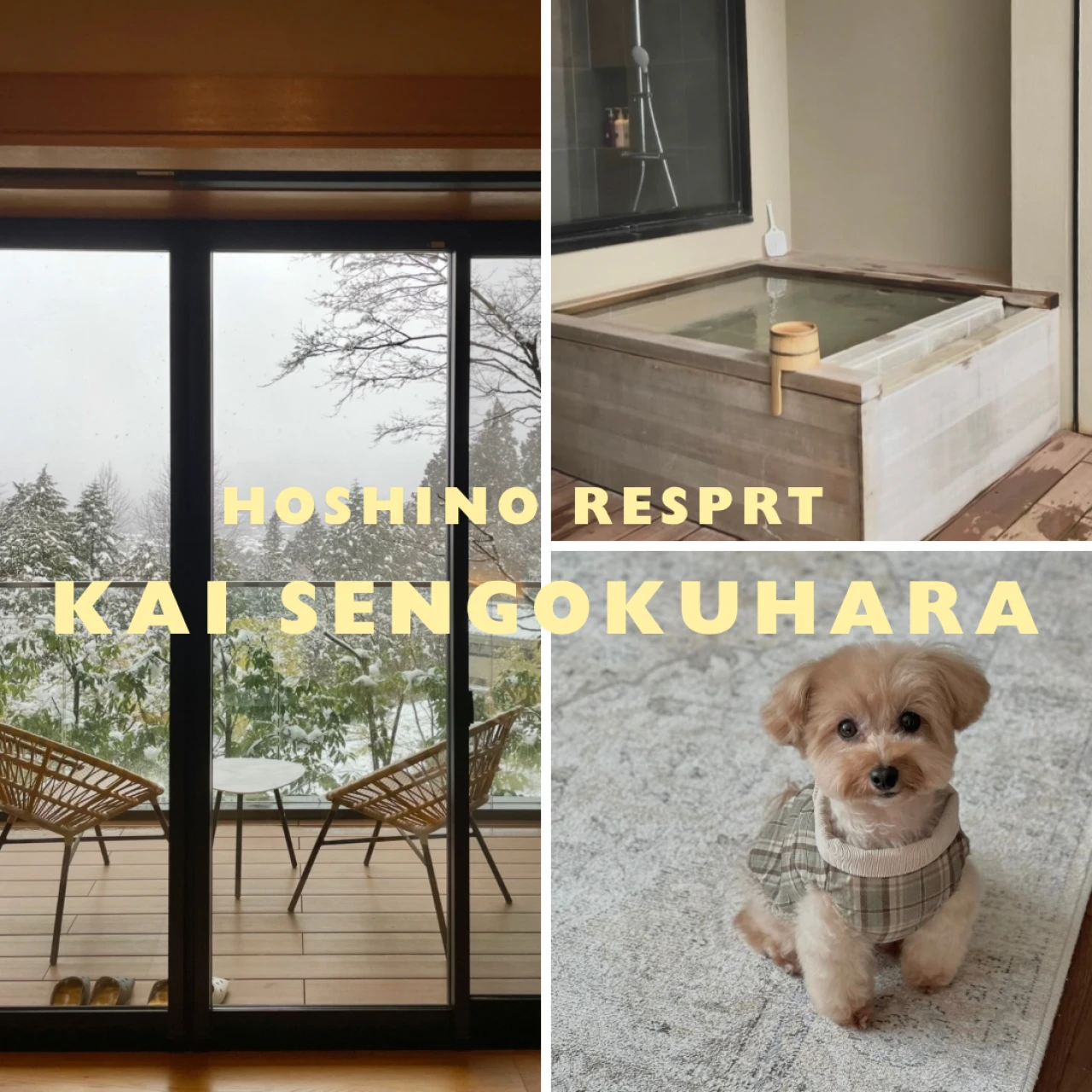愛犬と泊まれる★子連れにもおすすめの宿② ~星野リゾート 界 仙石原 &彫刻の森美術館~