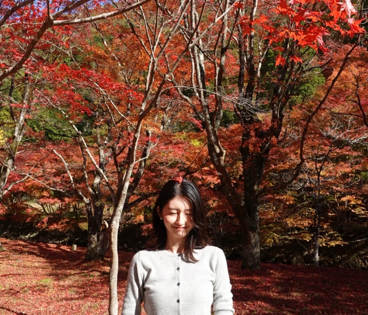 兵庫の奥地に佇む秘湯【篭坊(かごのぼう)温泉】の紅葉は今が見頃!