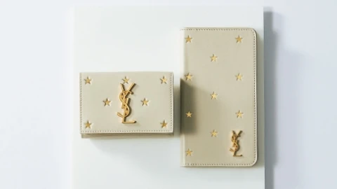 【SAINTLAURENT】キャッチーな星柄に視線が集中！スモールレザーグッズ④