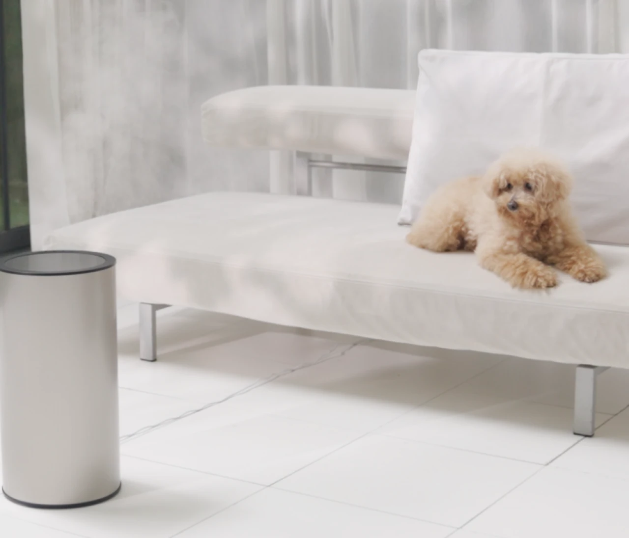 【プレゼント】『moya』の加湿器（ブラック）を１名様に