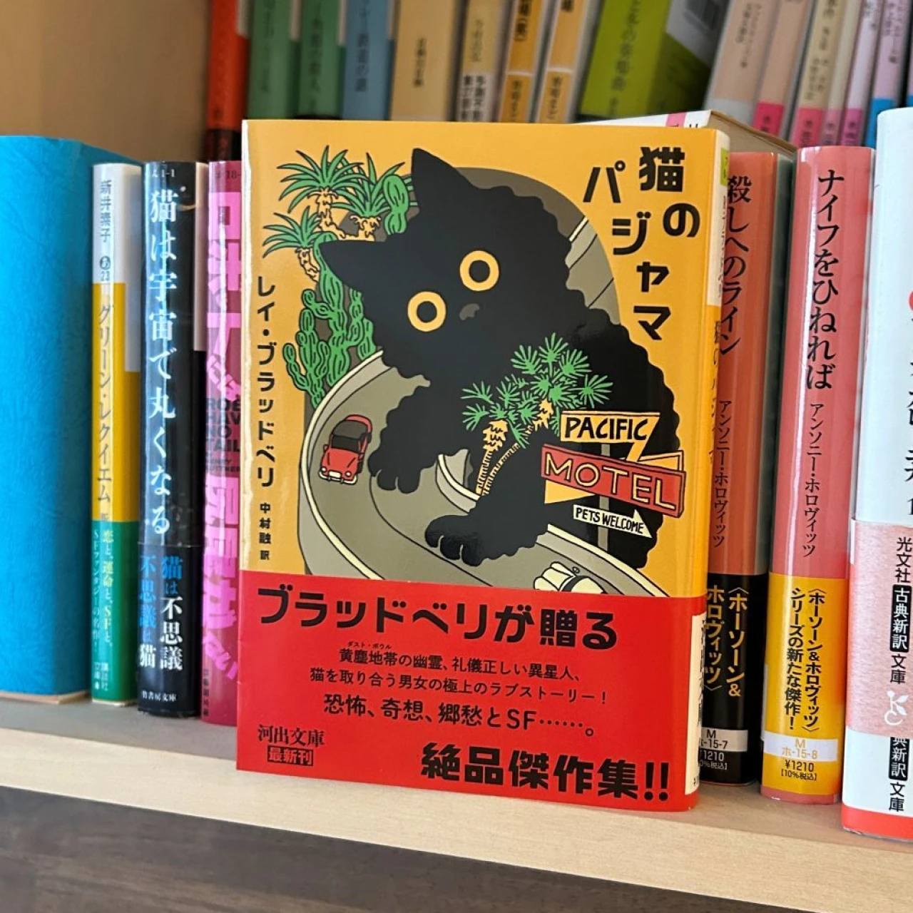 「猫のパジャマ」って英語でどういう意味？【エディターズピック】