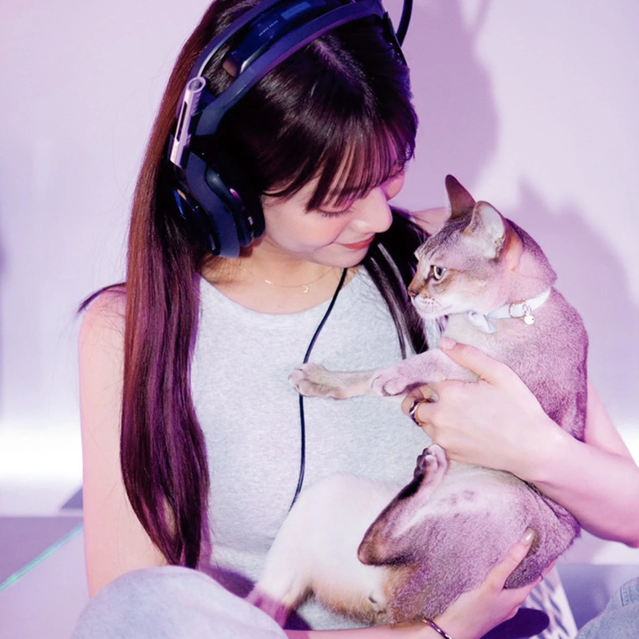 【貴島明日香の素顔】YouTuber、配信者、愛猫家…明日香のモデル以外の面に迫る!