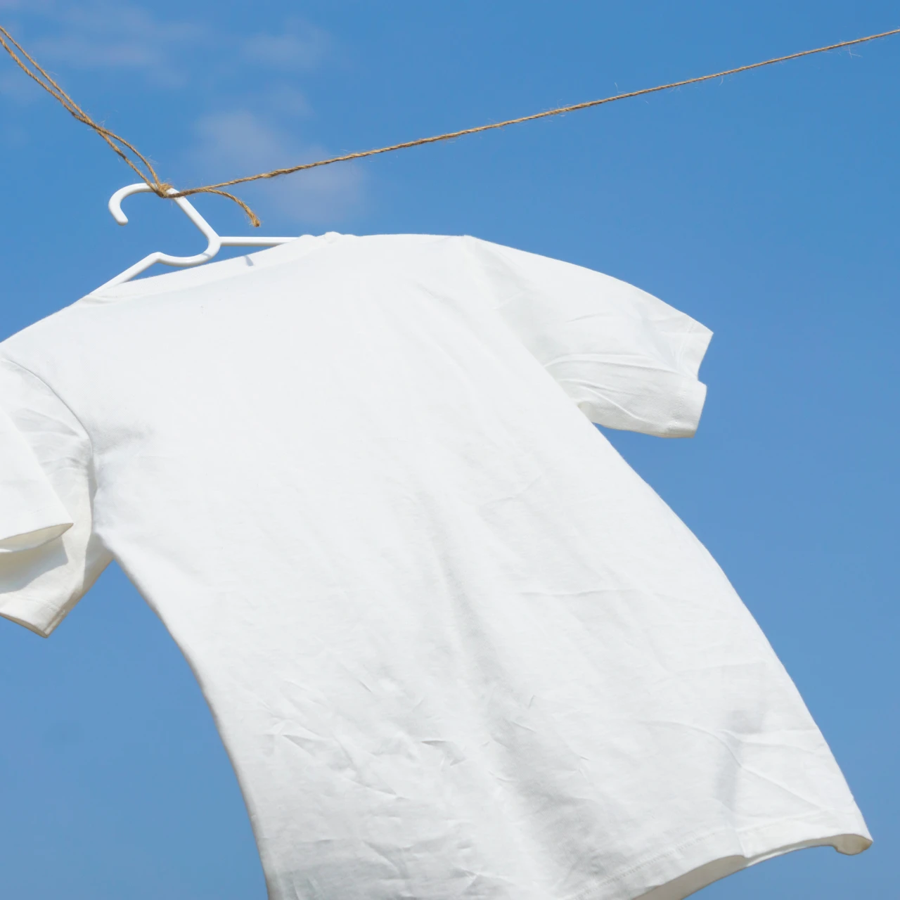 【新品見え】お気に入りのTシャツが傷まない「プロが教える汚れの落とし方」