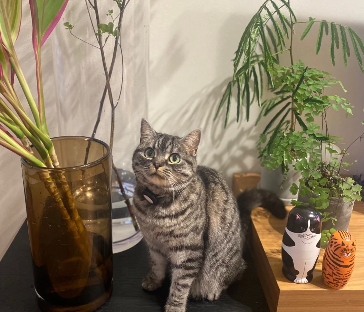 【花器が好き！】花とグリーンのある暮らしが教えてくれたこと