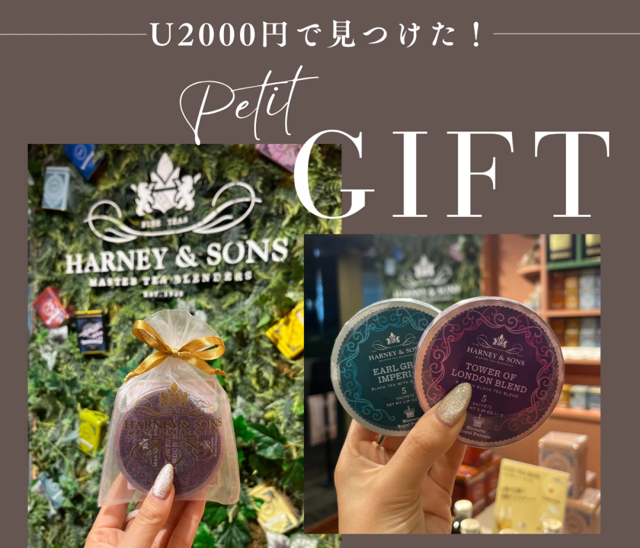 【U2,000円で見つけた♡】 心がときめく“気の利いた手土産”— Harney & Sons「Tagalong」#手土産部
