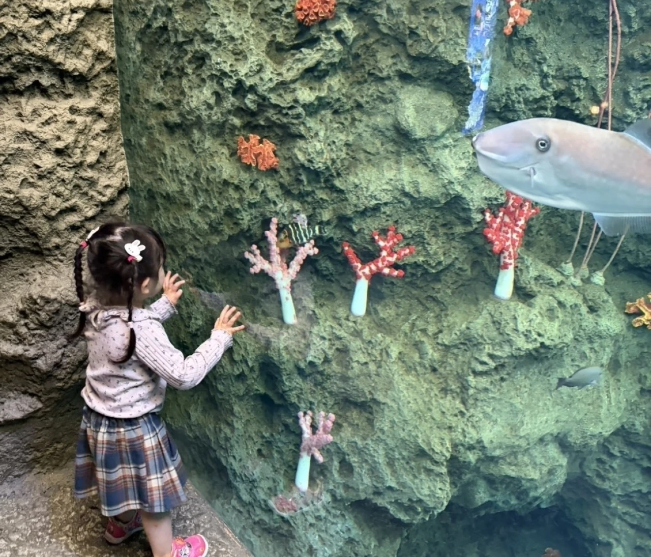 【前編】子連れで鴨川シーワールド完全ガイド｜1歳・3歳でも楽しめる？ショー攻略とリアル体験レポ