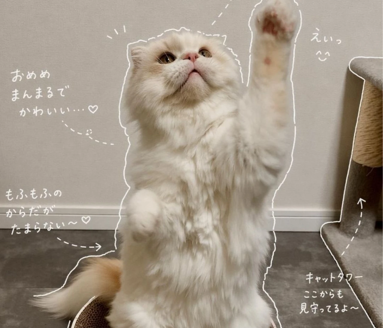 【韓国ダイソー】GWの渡韓で絶対買い！「ペットのご褒美天国」ルポ