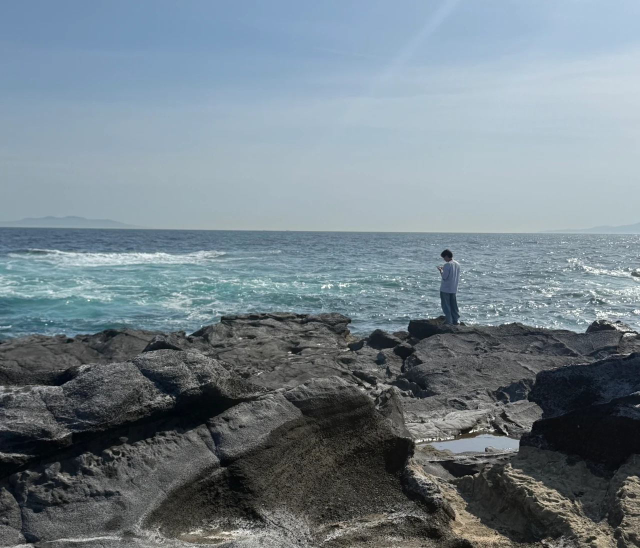 【車で行くみさき港】GWに行った三浦半島の日帰り旅が最高だったお話