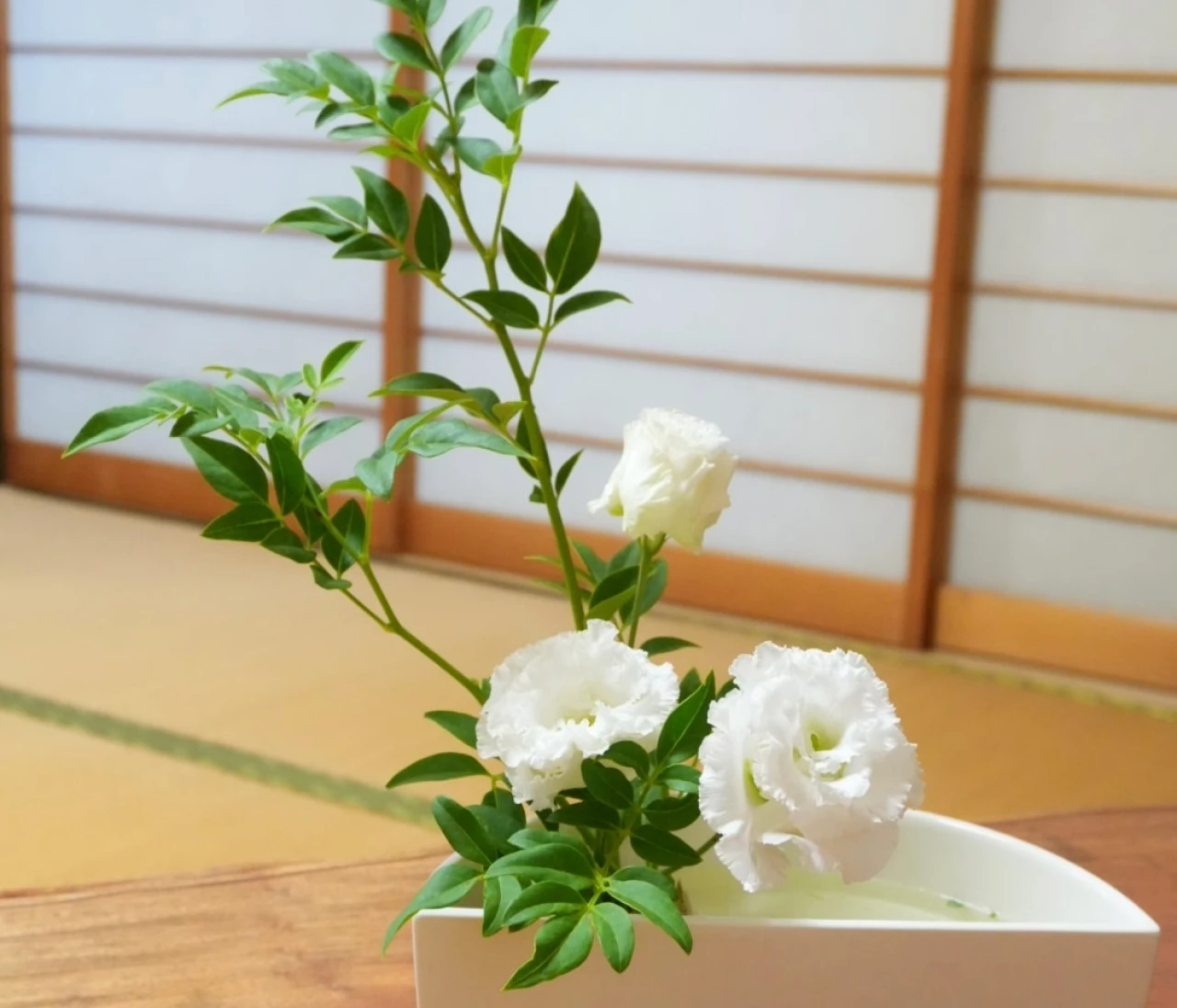 【華道】初心者でもきれいに生けられる！小原流師範科の私が紹介する基本のポイント