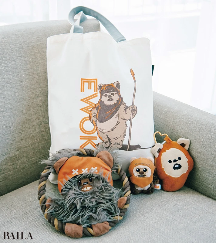 イウォークのグッズを着々と収集中