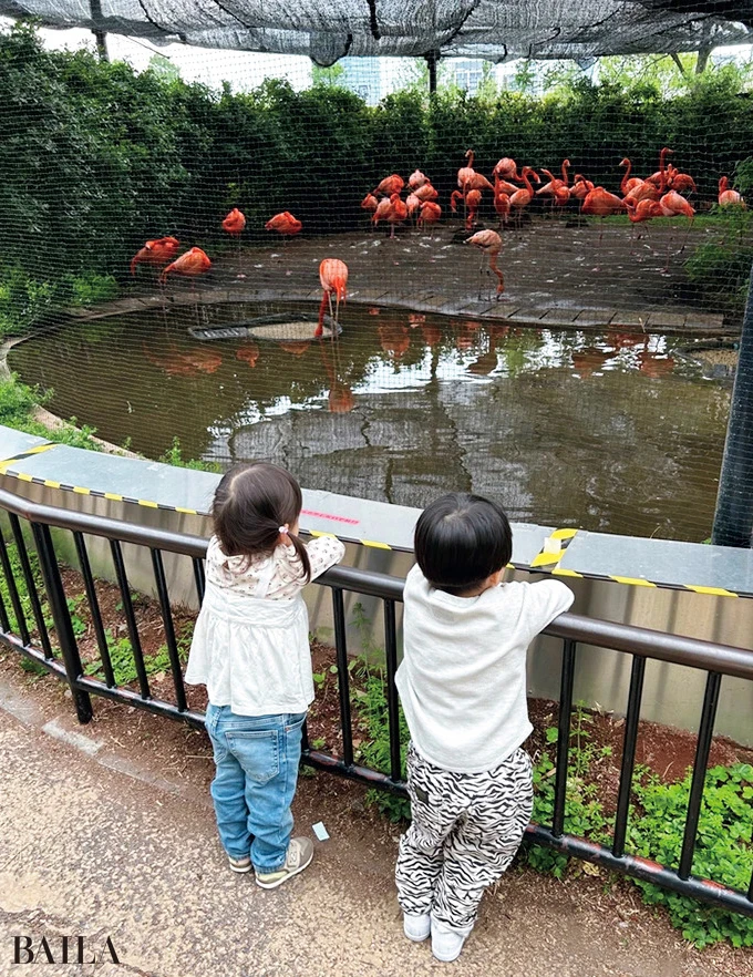 スーパーバイラーズ土佐李穂さん　上野動物園