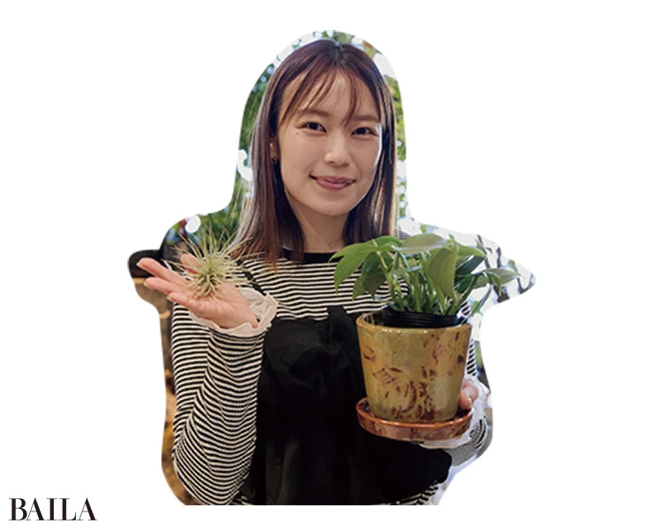 耐陰性があり、お手入れが簡単な植物を購入