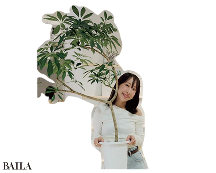 切れ長のスタイリッシュな葉が特徴的。カーテン越しのやわらかい光を好むので寝室に最適。