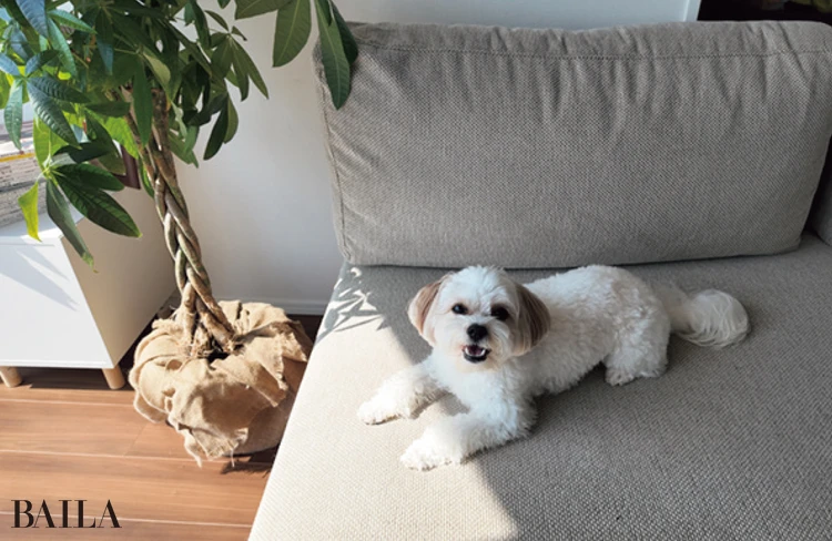 Osmo Pocket 3 を試し撮り！