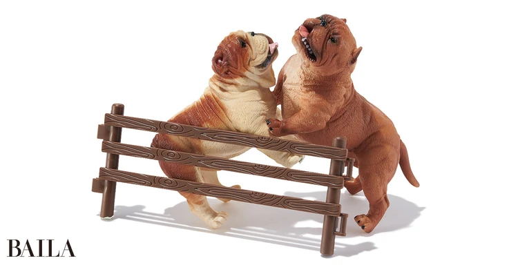 《アグレッシブルドッグ》